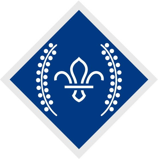 Chief Scout's Gold Award