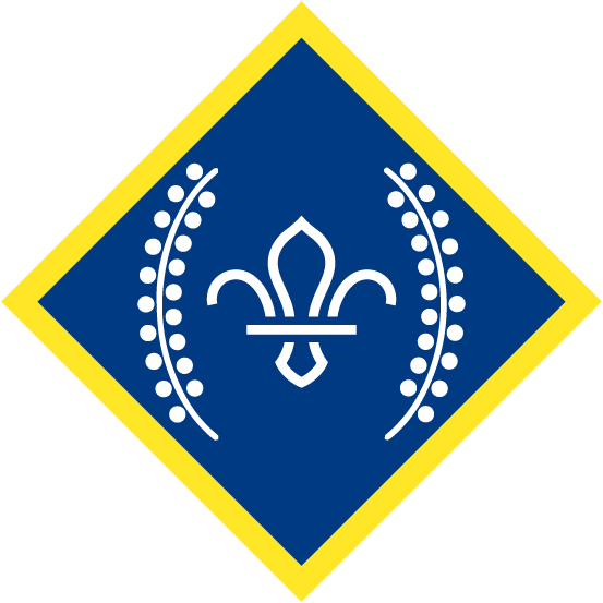 Chief Scout's Gold Award