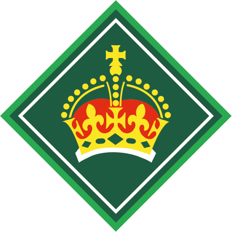 Chief Scout's Gold Award